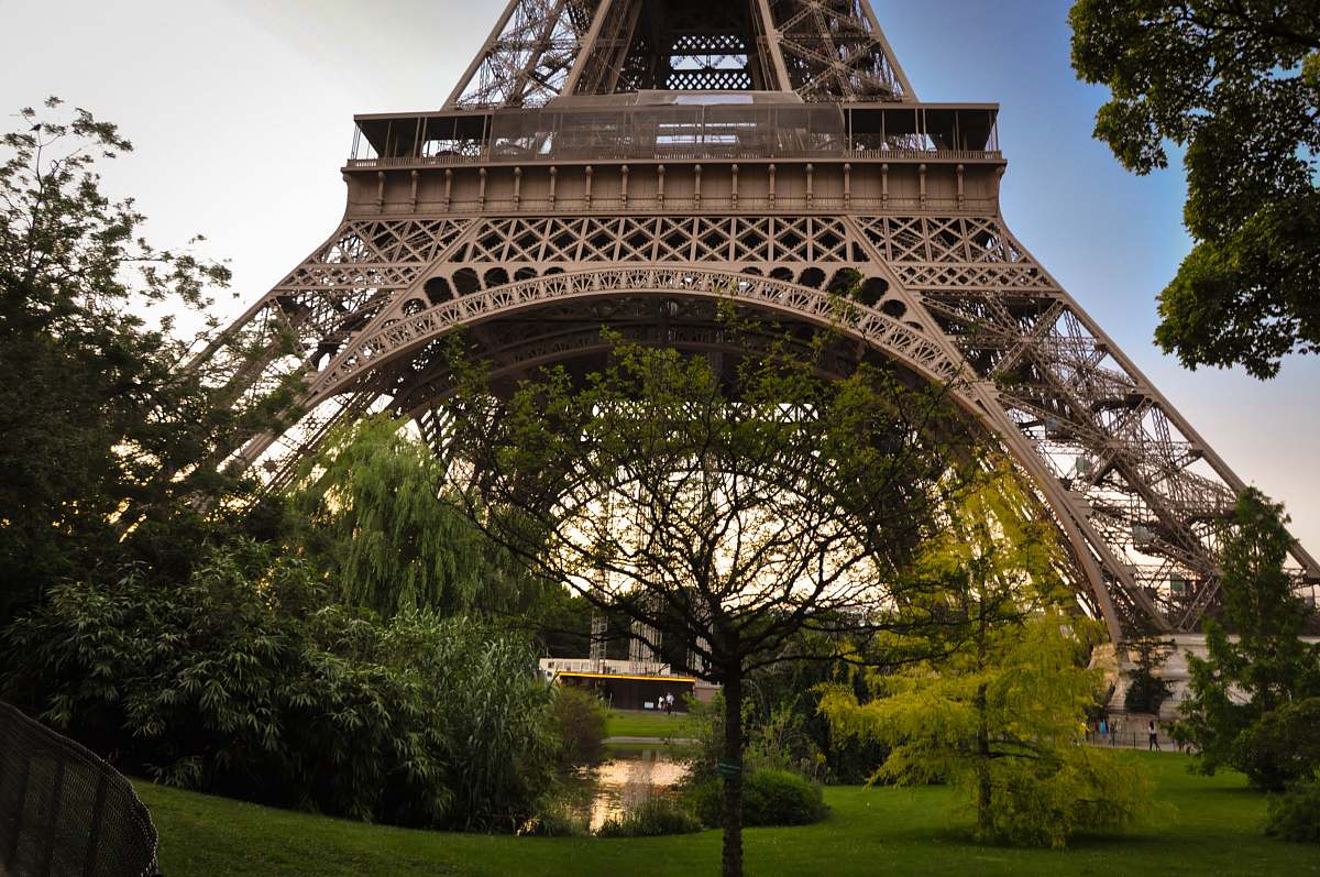 eiffel tower worm's eye view photography of Eiffel Tower, Paris trees